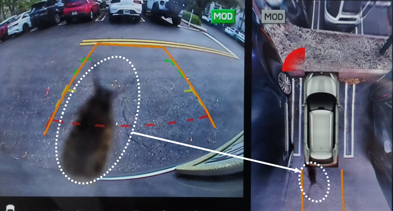 Thumbnail for Injecting Hallucinations in Autonomous Vehicles: A Component-Agnostic Safety Evaluation Framework
